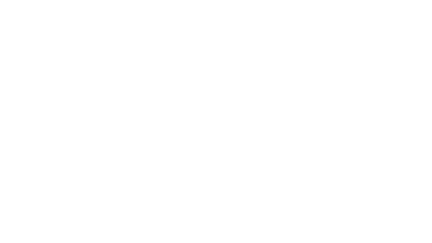 Ravelo logo