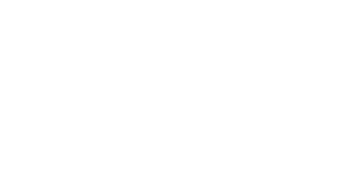 Icon Park logo