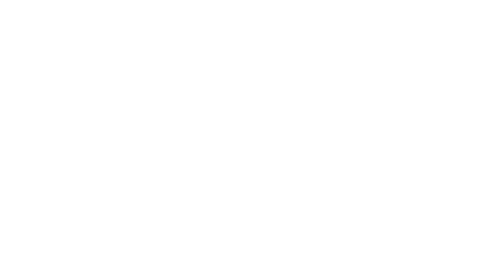 Live Trends Logo
